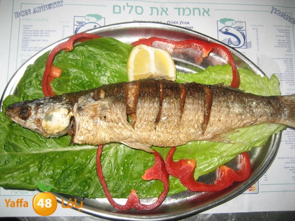 ahmadw saleem herts (16).JPG